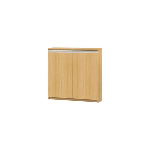 (商品画像) エースラック/カラーラック オーダーメイド ライン扉付 奥行19cm×高さ80cm×幅71～80cm（タフタイプ）