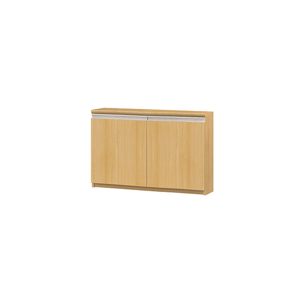 (商品画像) エースラック/カラーラック オーダーメイド ライン扉付 奥行19cm×高さ60cm×幅81～90cm（タフタイプ）