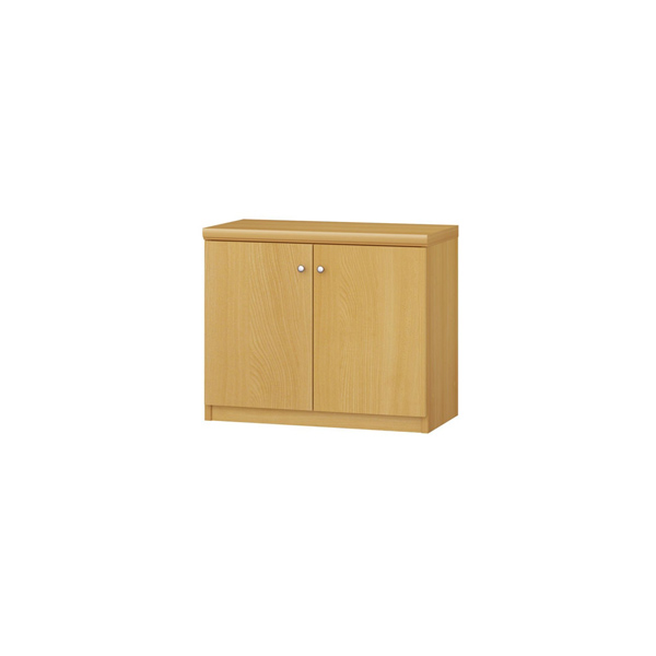 (商品画像) エースラック/カラーラック オーダーメイド 扉付 奥行25cm×高さ49cm×幅45～59cm（標準タイプ）