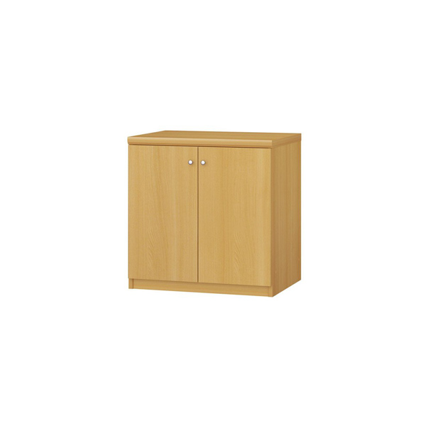 (商品画像) エースラック/カラーラック オーダーメイド 扉付 奥行46cm×高さ60cm×幅45～59cm（標準タイプ）