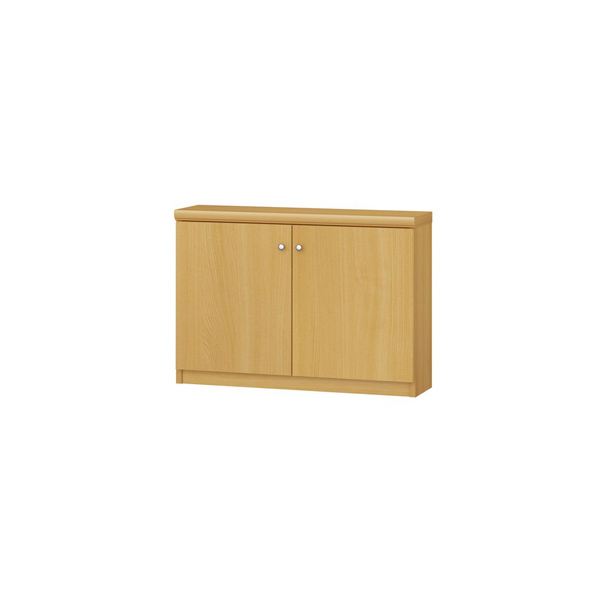 (商品画像) エースラック/カラーラック オーダーメイド 扉付 奥行19cm×高さ49cm×幅60～70cm（標準タイプ）