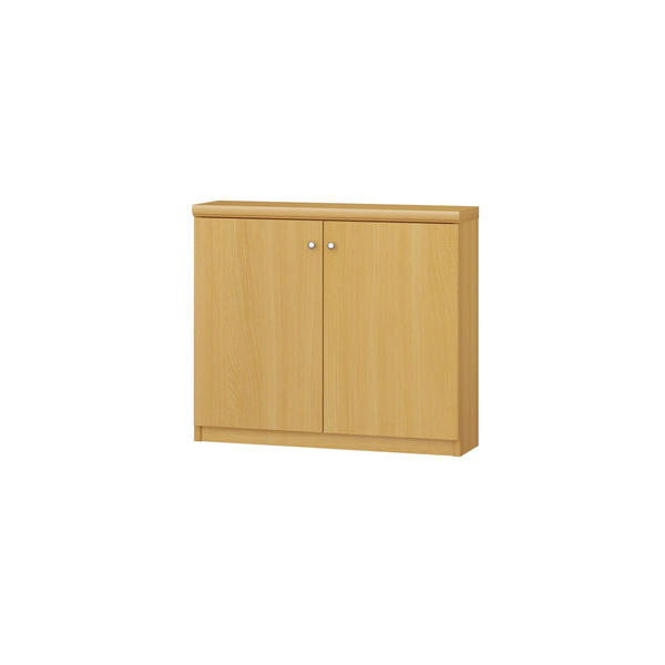 (商品画像) エースラック/カラーラック オーダーメイド 扉付 奥行19cm×高さ60cm×幅60～70cm（標準タイプ）