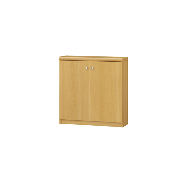 (商品画像) エースラック/カラーラック オーダーメイド 扉付 奥行19cm×高さ60cm×幅45～59cm（タフタイプ）