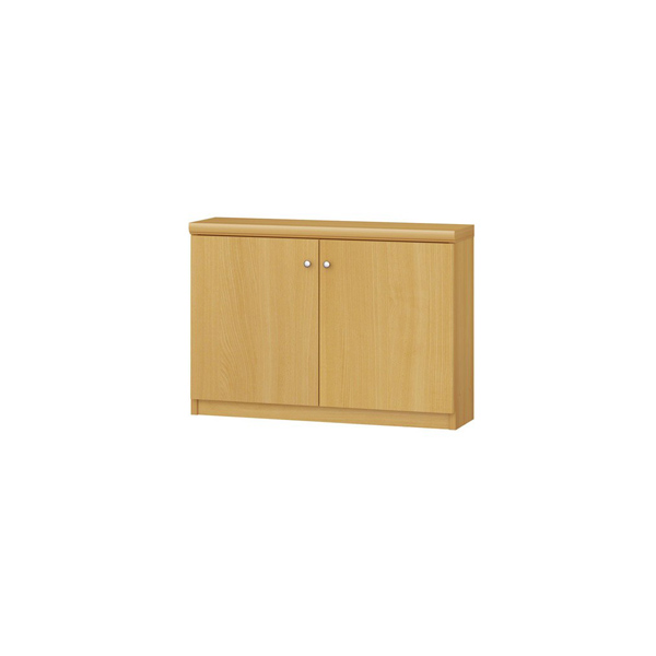 (商品画像) エースラック/カラーラック オーダーメイド 扉付 奥行19cm×高さ49cm×幅60～70cm（タフタイプ）