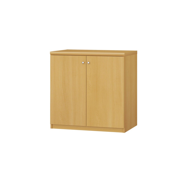 (商品画像) エースラック/カラーラック オーダーメイド 扉付 奥行46cm×高さ70cm×幅60～70cm（タフタイプ）