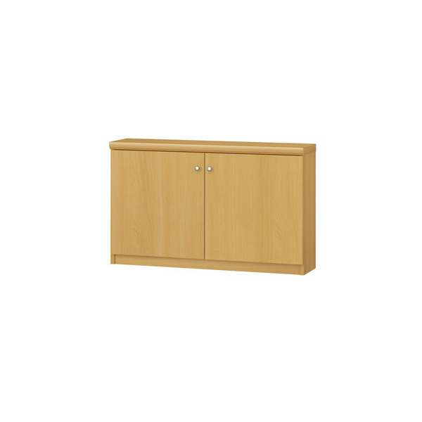 (商品画像) エースラック/カラーラック オーダーメイド 扉付 奥行19cm×高さ49cm×幅71～80cm（タフタイプ）