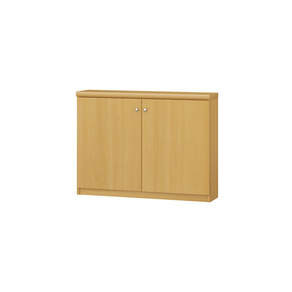 (商品画像) エースラック/カラーラック オーダーメイド 扉付 奥行19cm×高さ60cm×幅71～80cm（タフタイプ）