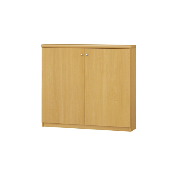 (商品画像) エースラック/カラーラック オーダーメイド 扉付 奥行19cm×高さ80cm×幅81～90cm（タフタイプ）