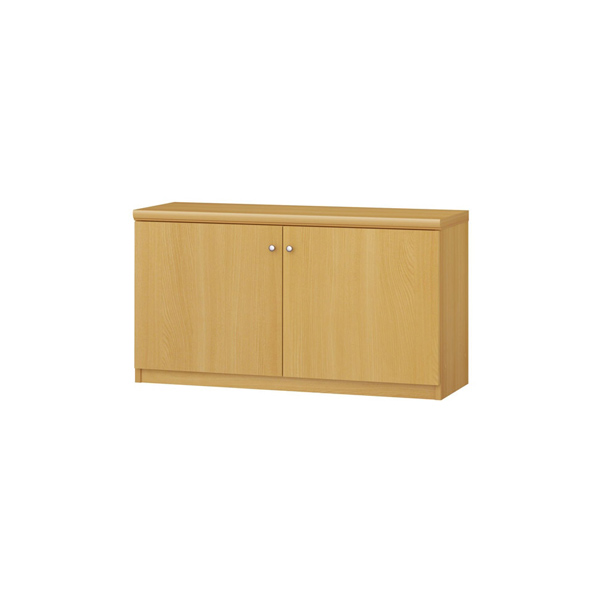 (商品画像) エースラック/カラーラック オーダーメイド 扉付 奥行31cm×高さ49cm×幅81～90cm（タフタイプ）