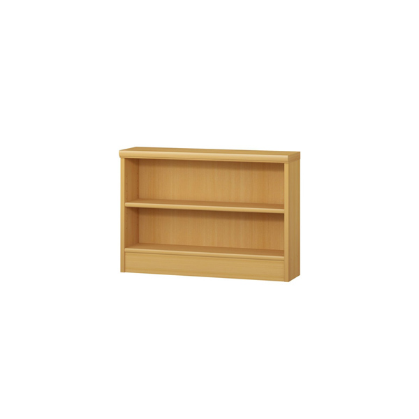 (商品画像) エースラック/カラーラック オーダーメイド 奥行19cm×高さ49cm×幅60～70cm（標準タイプ）