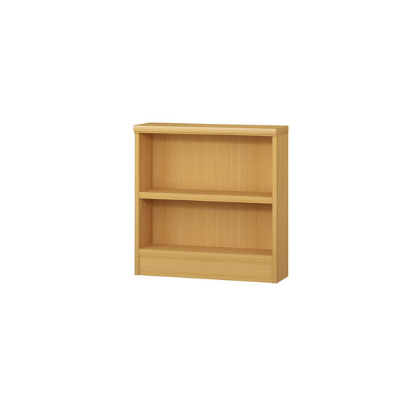 (商品画像) エースラック/カラーラック オーダーメイド 奥行19cm×高さ60cm×幅45～59cm（タフタイプ）