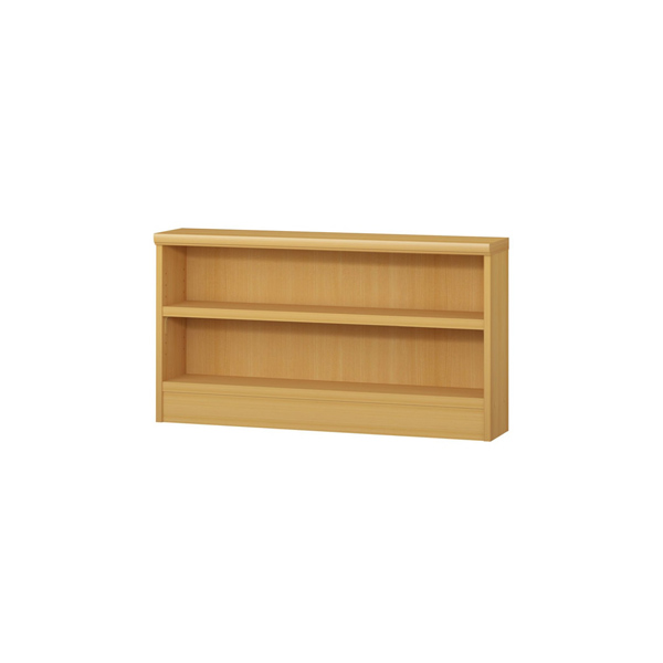 (商品画像) エースラック/カラーラック オーダーメイド 奥行19cm×高さ49cm×幅81～90cm（タフタイプ）