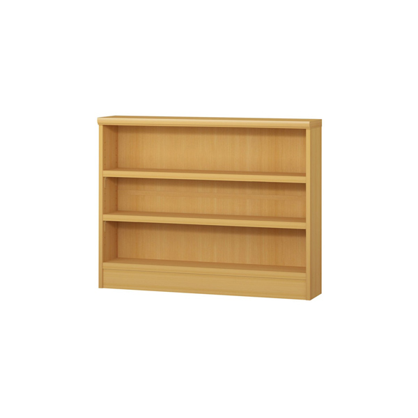 (商品画像) エースラック/カラーラック オーダーメイド 奥行19cm×高さ70cm×幅81～90cm（タフタイプ）