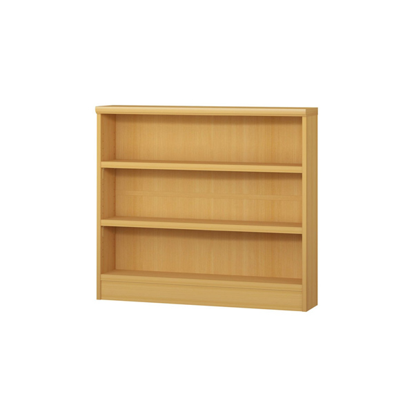 (商品画像) エースラック/カラーラック オーダーメイド 奥行19cm×高さ80cm×幅81～90cm（タフタイプ）