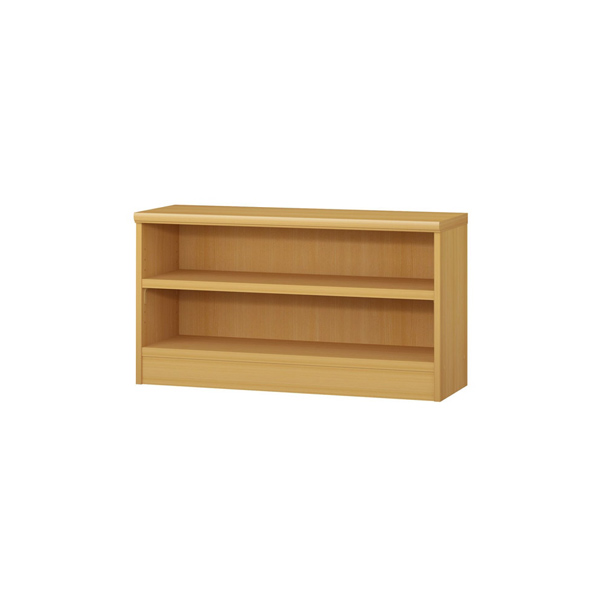 (商品画像) エースラック/カラーラック オーダーメイド 奥行31cm×高さ49cm×幅81～90cm（タフタイプ）