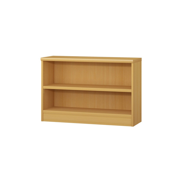 (商品画像) エースラック/カラーラック オーダーメイド 奥行31cm×高さ60cm×幅81～90cm（タフタイプ）